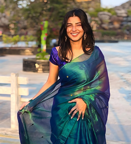 🦚 Saree